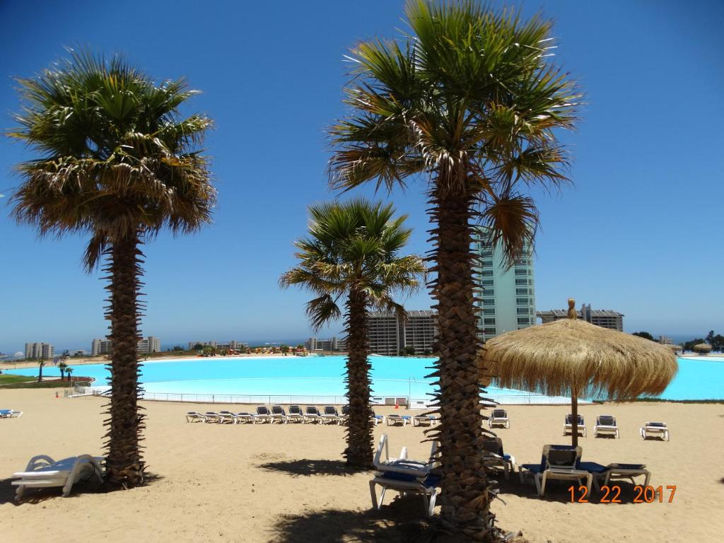 un grupo de palmeras en una playa con piscina en Laguna Bahía - Lagoamar, Algarrobo, en Algarrobo
