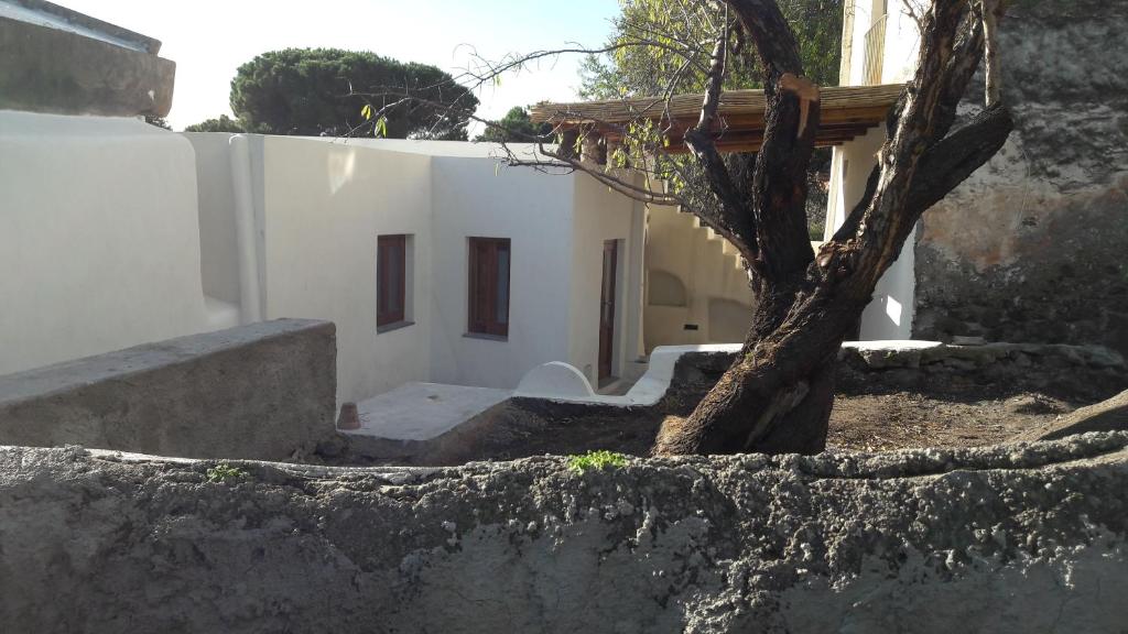 un pequeño árbol frente a un edificio en La casa dei cugini, en Santa Marina Salina