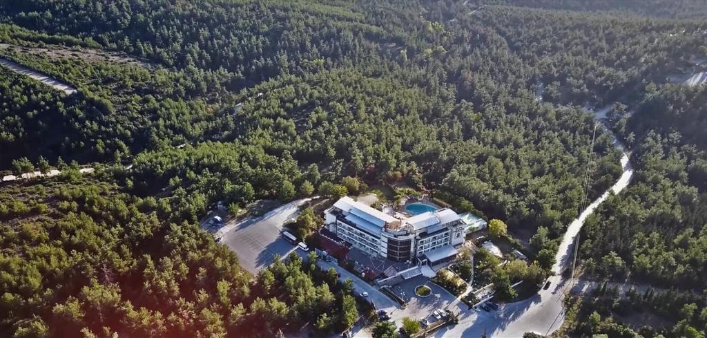 Philippion - Resim 14