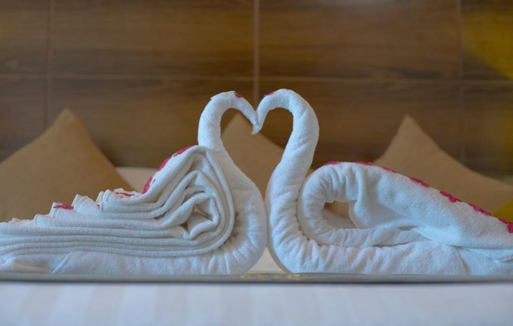 Plumeria Maldives - 16