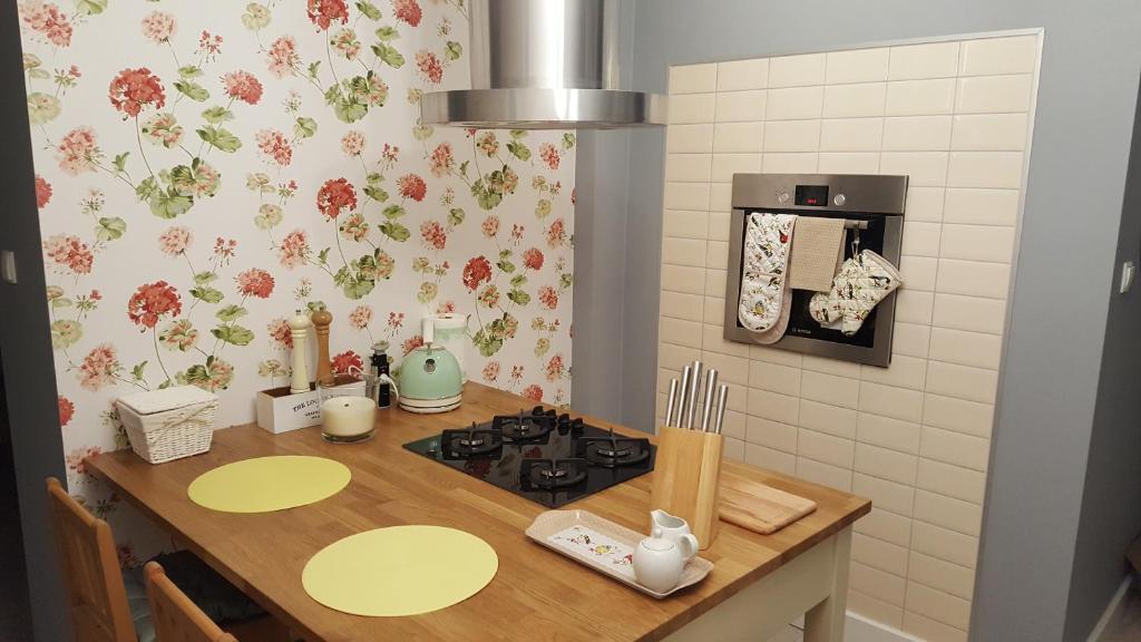 a kitchen with a counter with a stove in it at Widok na góry in Stronie Śląskie