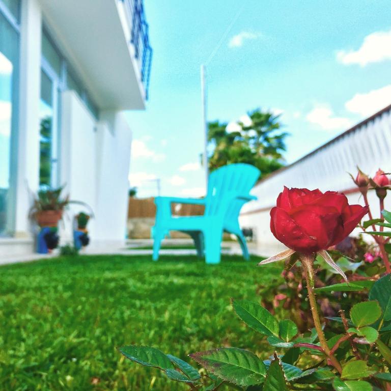 Zahrada ubytování Corte Sveva B&B Affittacamere