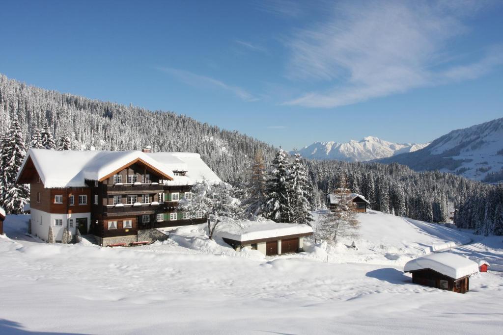 ヒルシュエックにあるWuerttemberger Haus - Hütteの山々を背景にした雪山スキー場