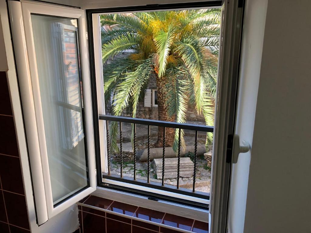 a view of a palm tree from a window at Apartment Viva in Budva