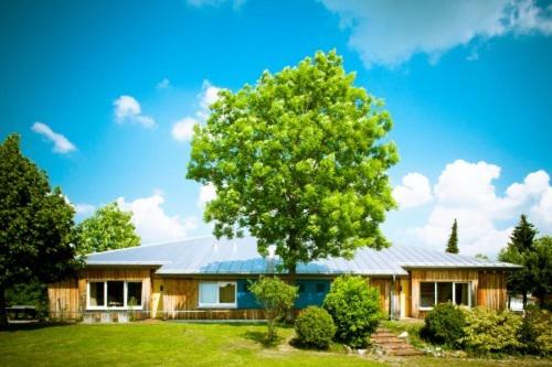 ein Haus mit einem großen Baum davor in der Unterkunft Jugendherberge Ottobeuren in Ottobeuren
