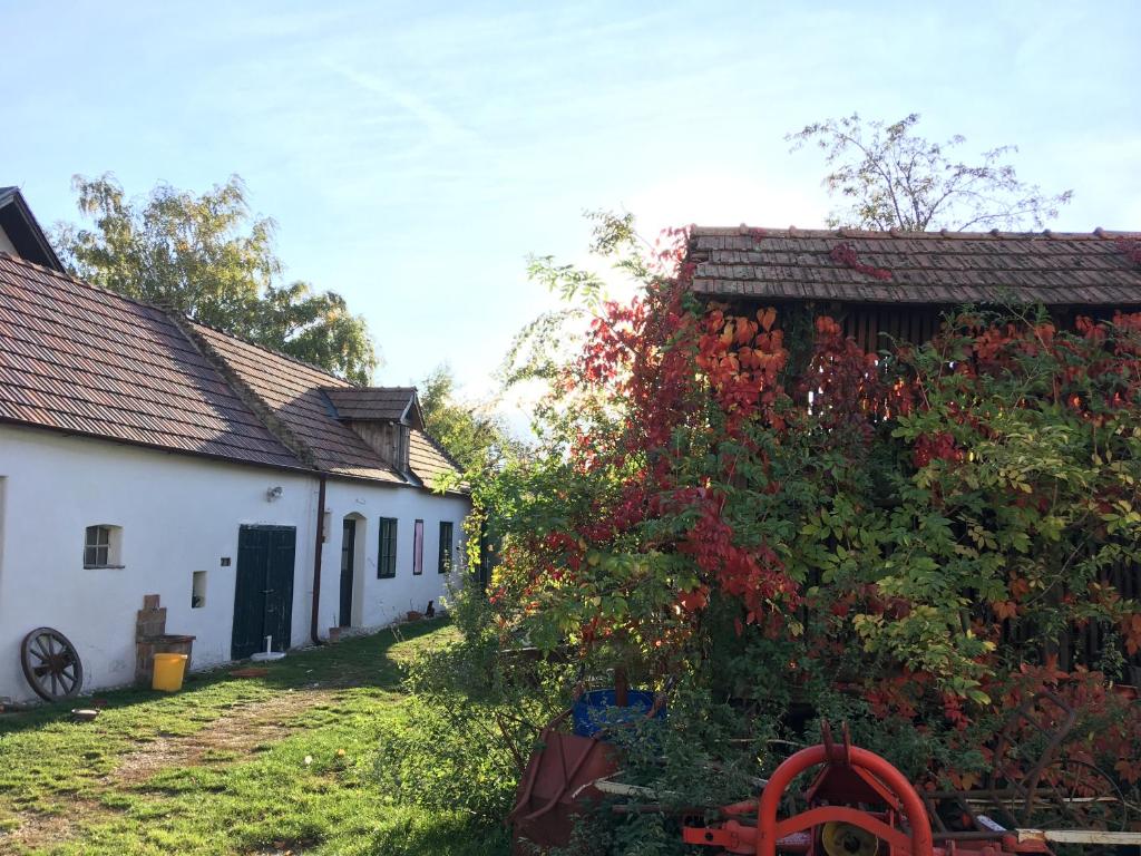 biały budynek i drzewo z czerwonymi kwiatami w obiekcie Am Ziegenhof w mieście Parndorf