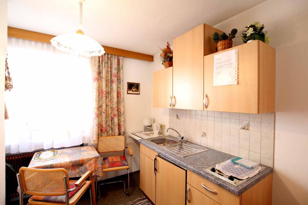 Kuchyň nebo kuchyňský kout v ubytování Pension Delacher