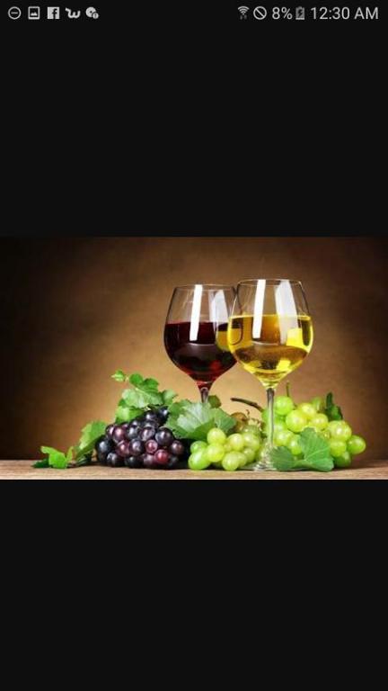 The Red Shed, Anakiwa - Resim 8