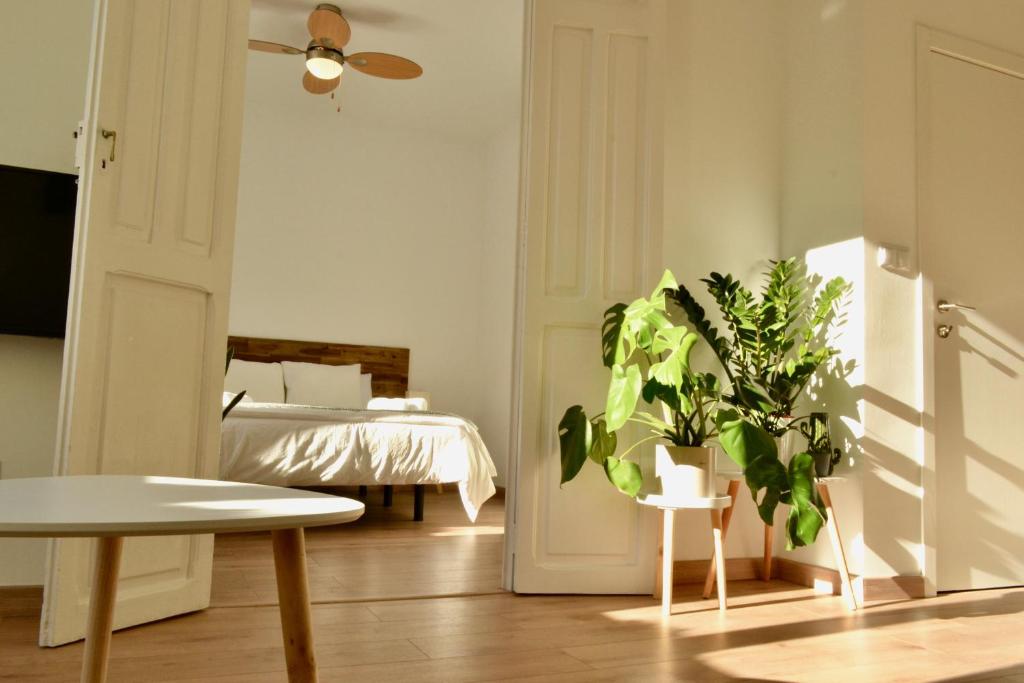 Hola Valencia - Holiday Apartments في فالنسيا: غرفة نوم مع سرير وزرع الفخار