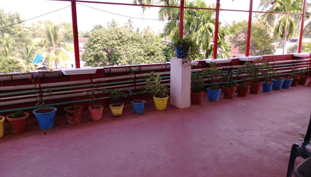 Balkón nebo terasa v ubytování Elim Homestay Fort Kochi