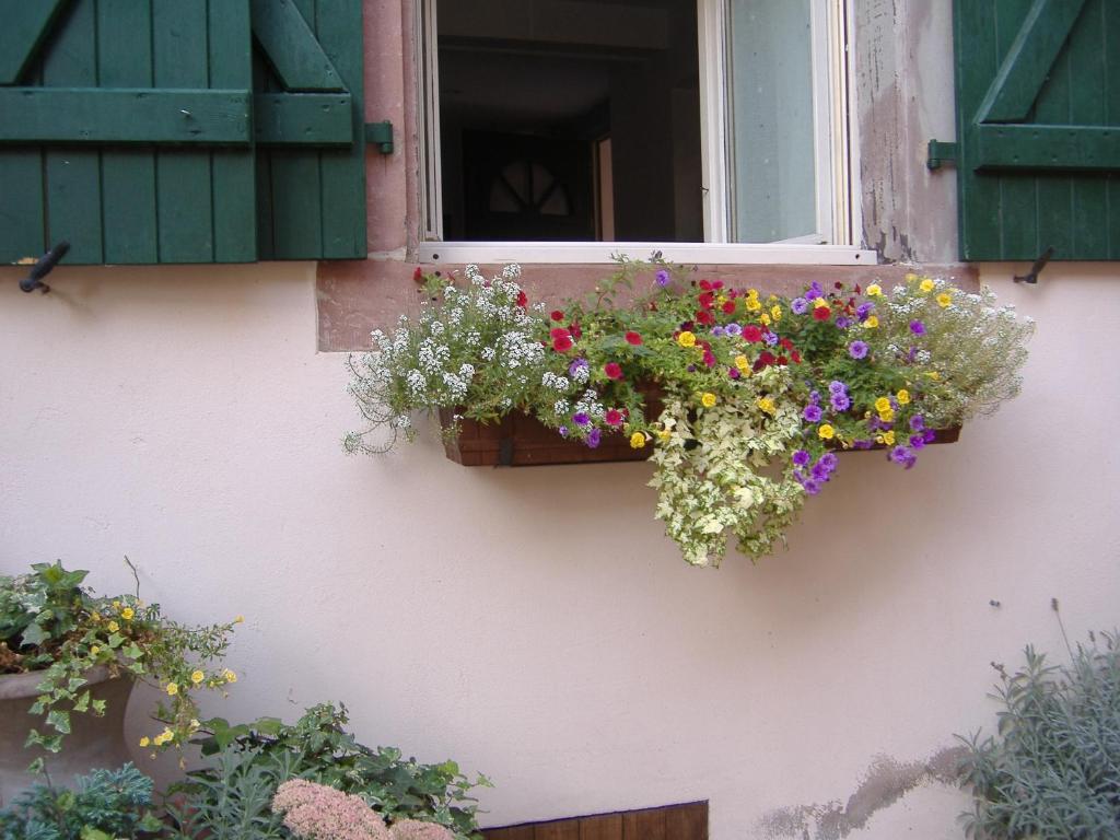 charmant petit appartement en Alsace - 公寓