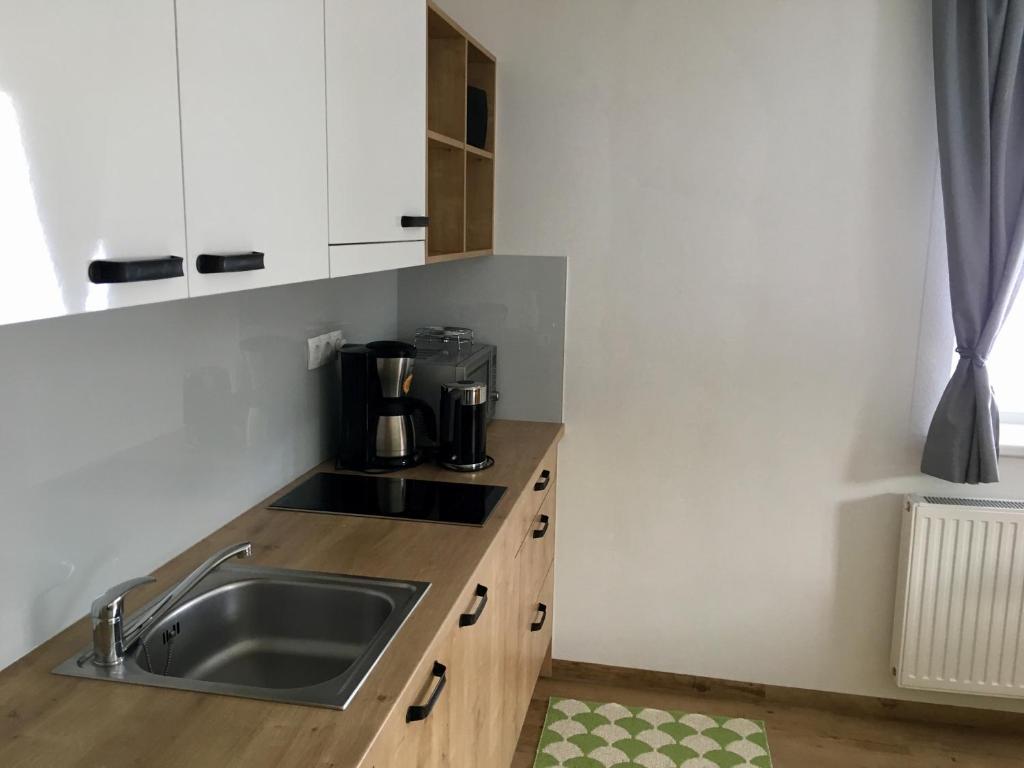 Kuchyň nebo kuchyňský kout v ubytování Haus Filzmoos