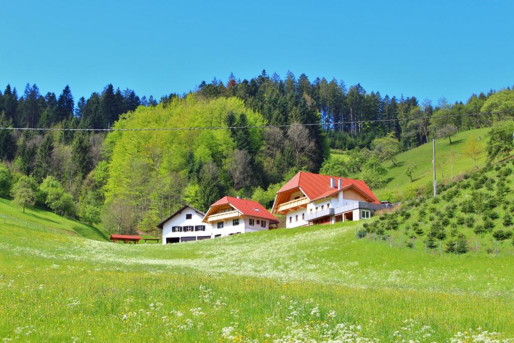 a group of houses on a hill in a field at Stinneshof in Oberharmersbach