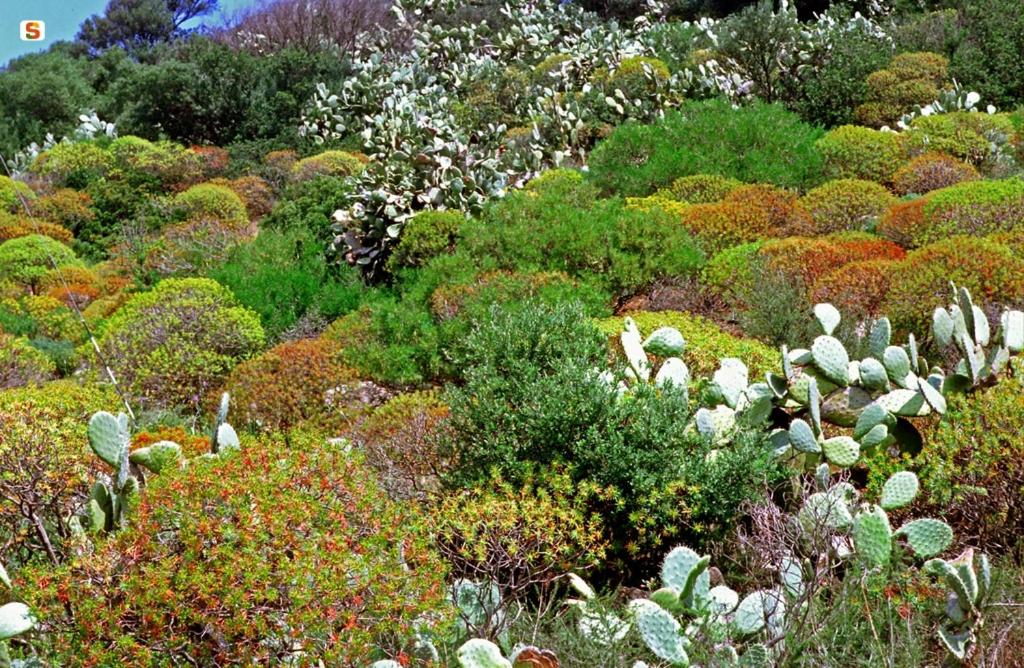 A garden outside Villa "Franca"