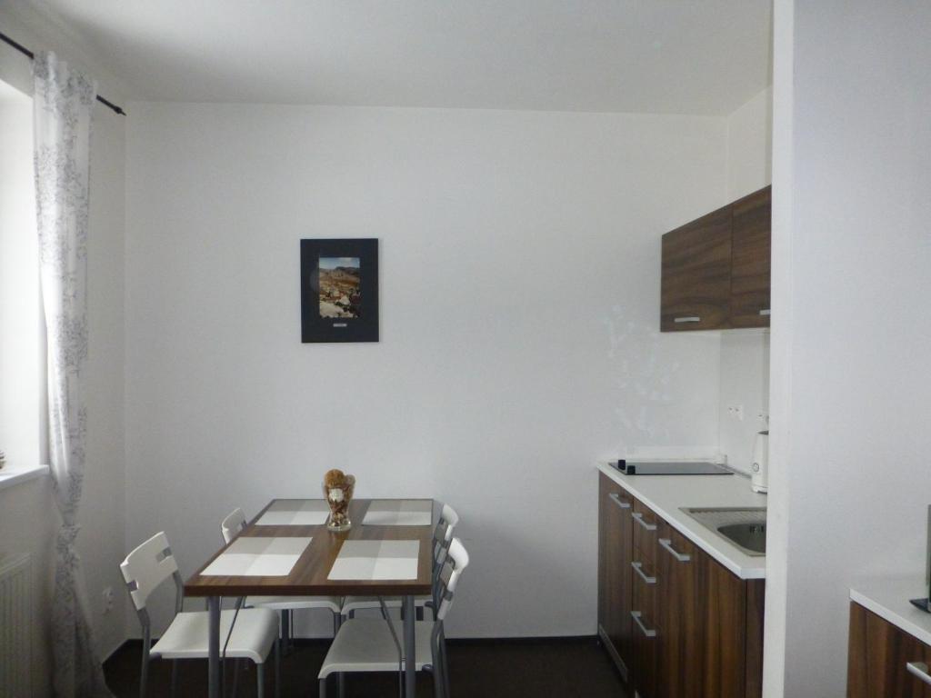 Kuchyň nebo kuchyňský kout v ubytování Apartmány Kouty - Jeseníky