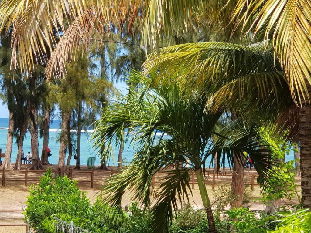 una palmera en una playa con el océano en el fondo en Villa Bienvenue Beachfront House, en Flic en Flac