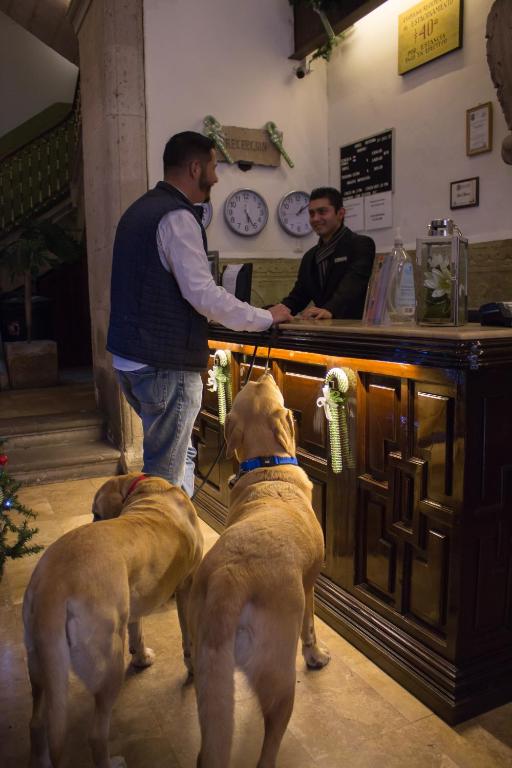 Hosté ubytování Hotel Historia