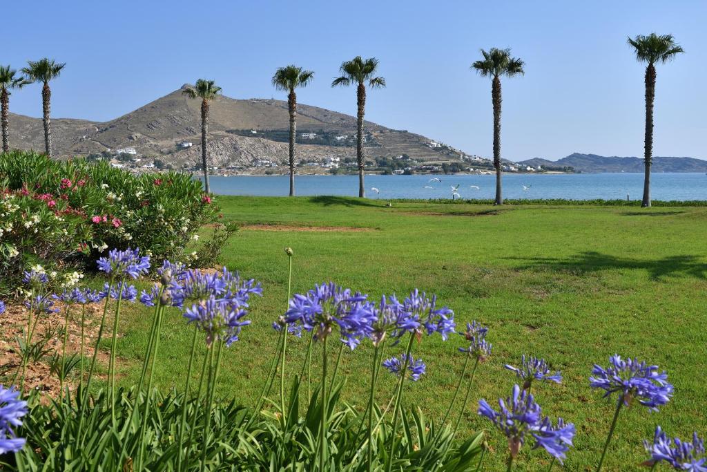 Imagen de la galería de Astir Of Paros, en Naousa