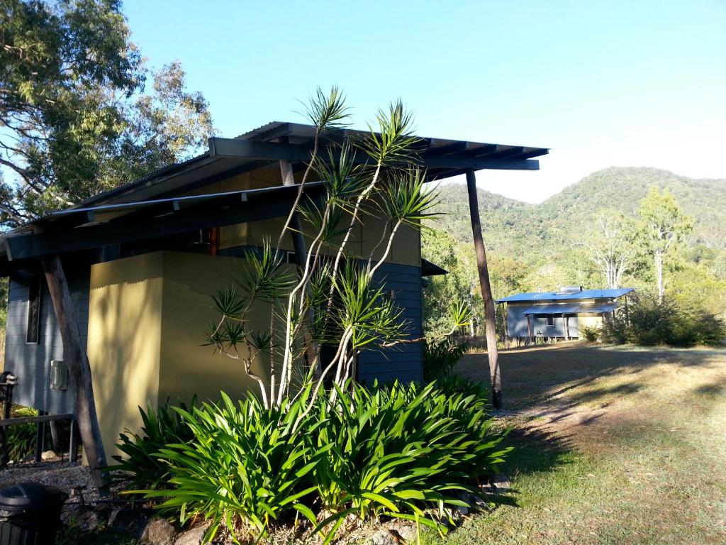 a house with a palm tree in front of it at Sweetwater Lodge in Julatten