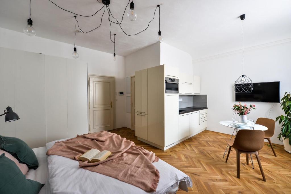 Lazenska N4 Residence - Studio