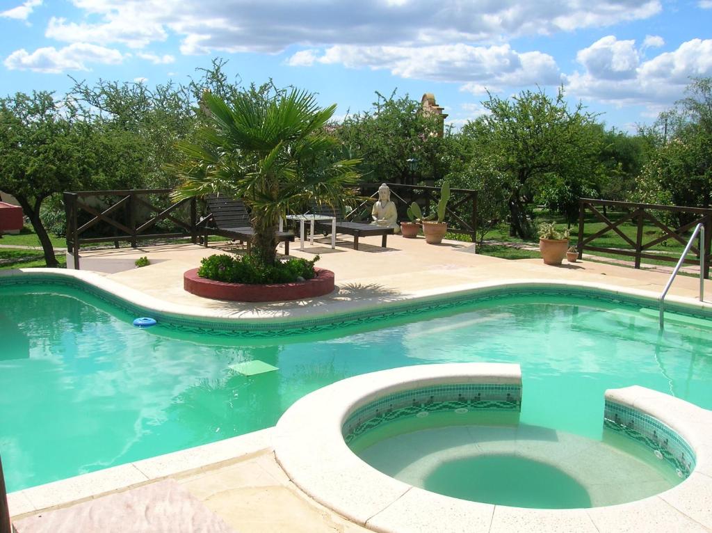 una piscina con una palmera en el medio en Posada Los Antiguos-Adults Only en Merlo