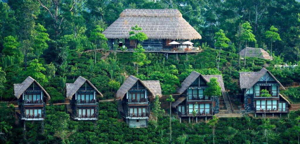 a group of houses on a hill with trees at 98 Acres Resort & Spa in Ella