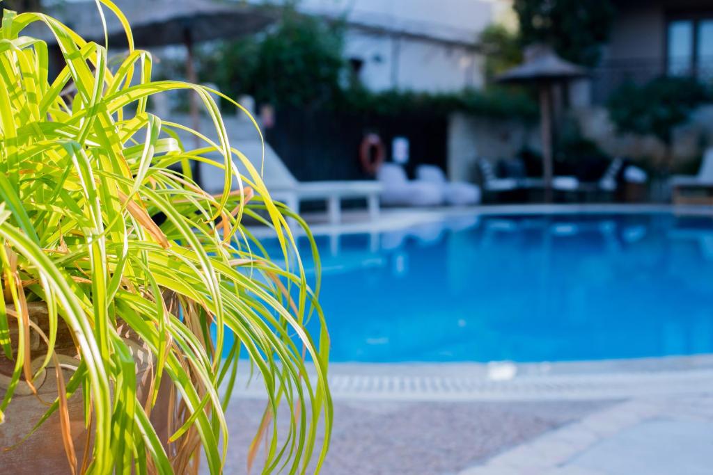 Bazén v ubytování Stamos Hotel nebo v jeho okolí