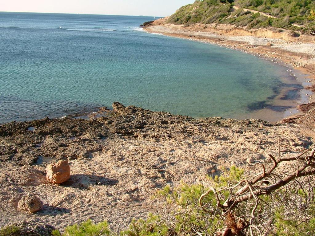 Príroda v okolí dovolenkového domu