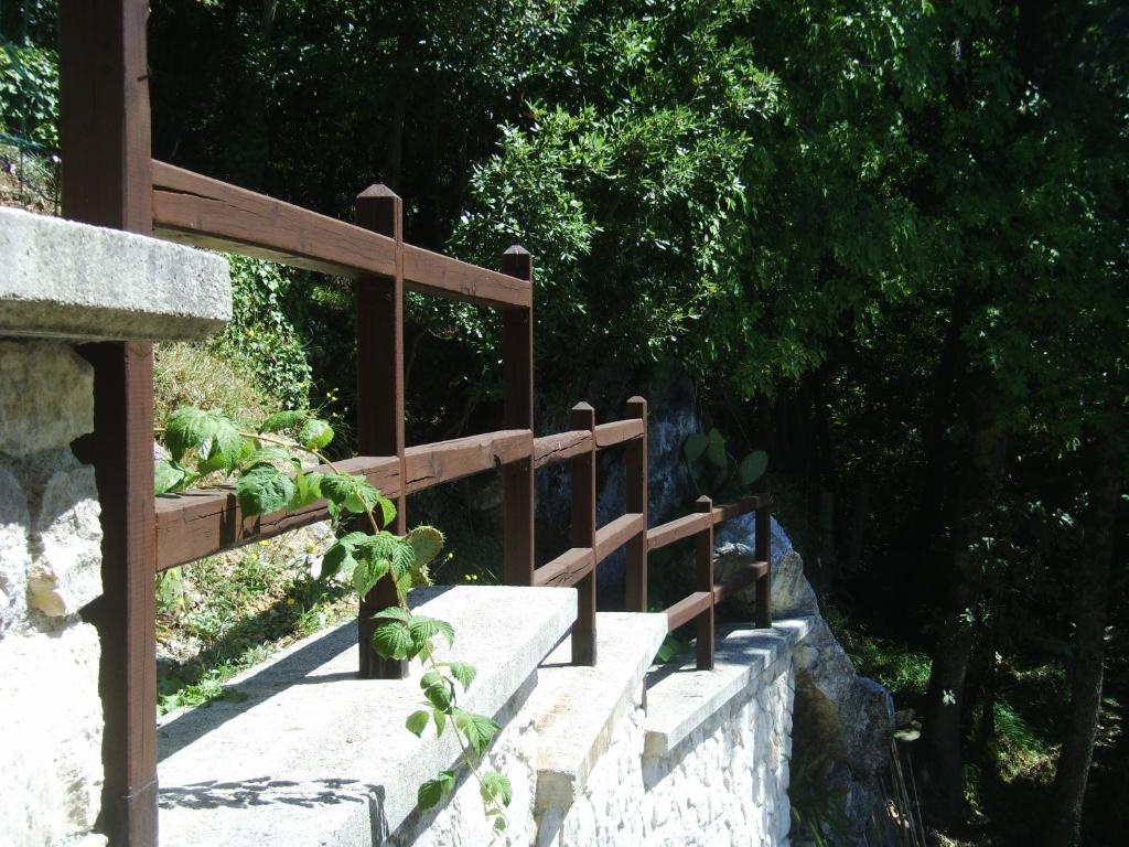 A garden outside Casa Lieta