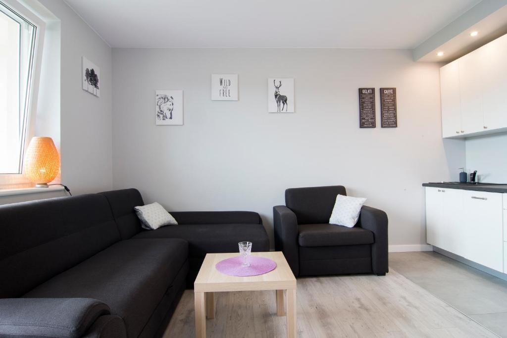 Apartamenty Sun & Snow Kamienna Wisła - Studio