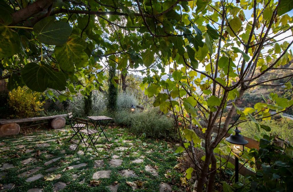 A garden outside Casa dell'Avventura