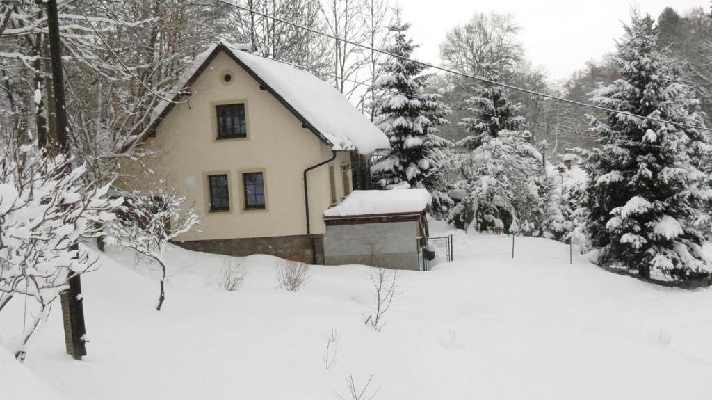 Háje的住宿－chalupa Krkonoše，一座有树的院子内,被雪覆盖着