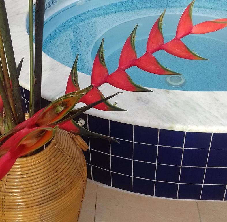  Apartamento Sonho Meu