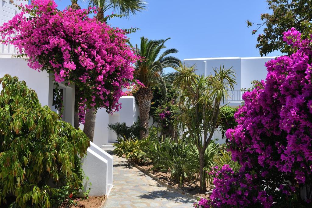 Imagen de la galería de Astir Of Paros, en Naousa