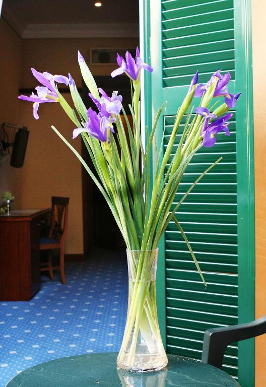 Fotografie z fotogalerie ubytování Hotel Artorius v Římě