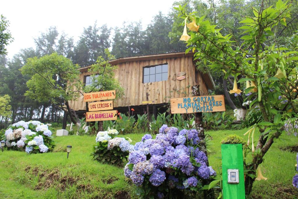 Garden sa labas ng Alla Arriba