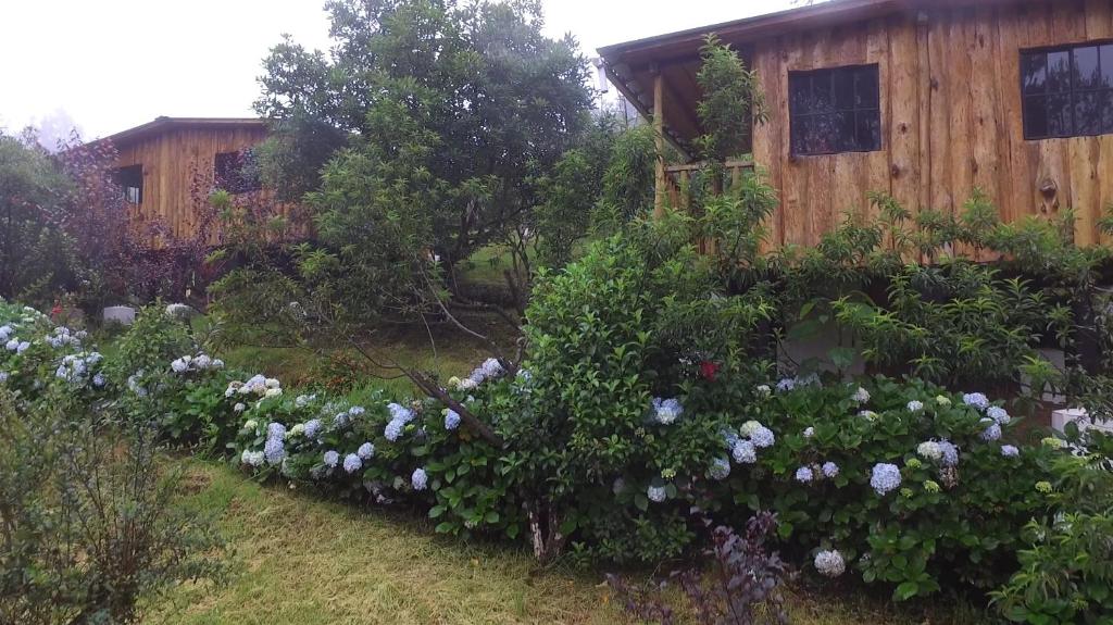 a garden with flowers in front of a building at Alla Arriba in Las Cruces