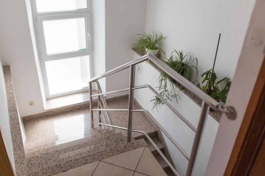 Fotografie z fotogalerie ubytování Apartment Davorka v Božavě