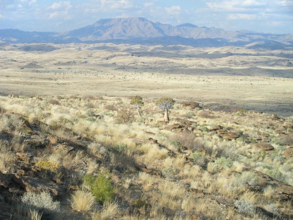 a view of the desert with a mountain in the background at Namibs Valley Lodge in Gamsberg Pass
