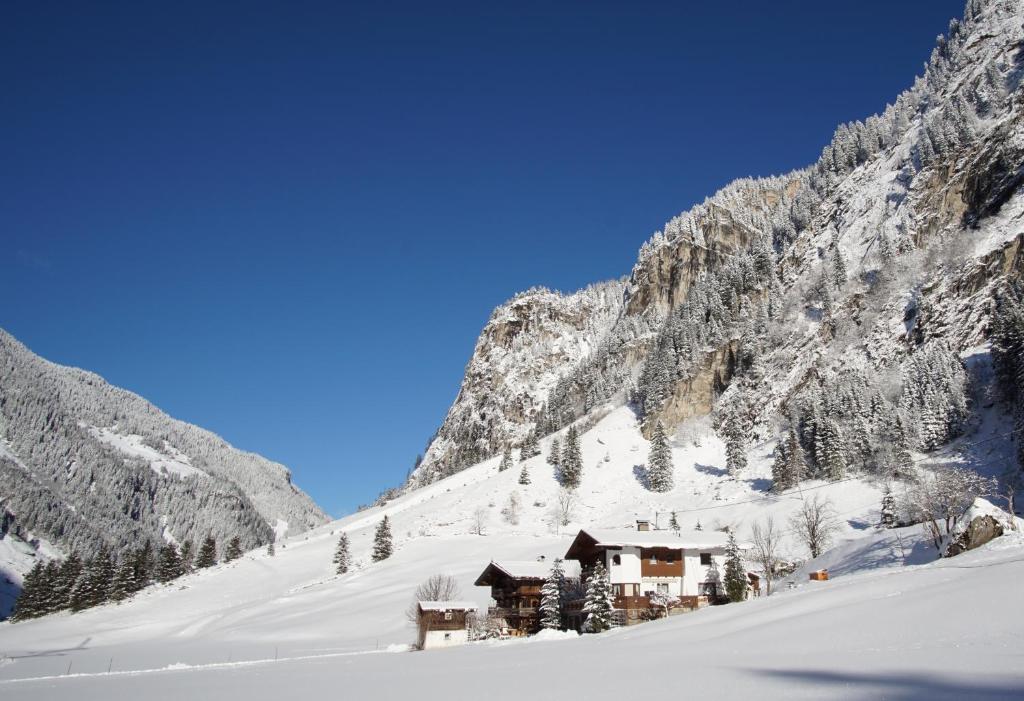 ギンツリングにあるApartment Bergblickの山前雪スキー場