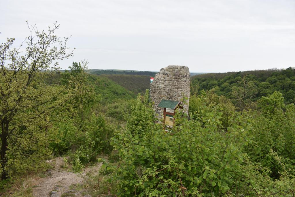 Příroda nedaleko prázdninového domu