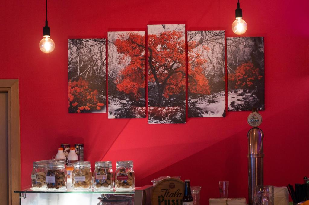 Fotografie z fotogalerie ubytování Casteluce Hotel Funivie v destinaci Pinzolo