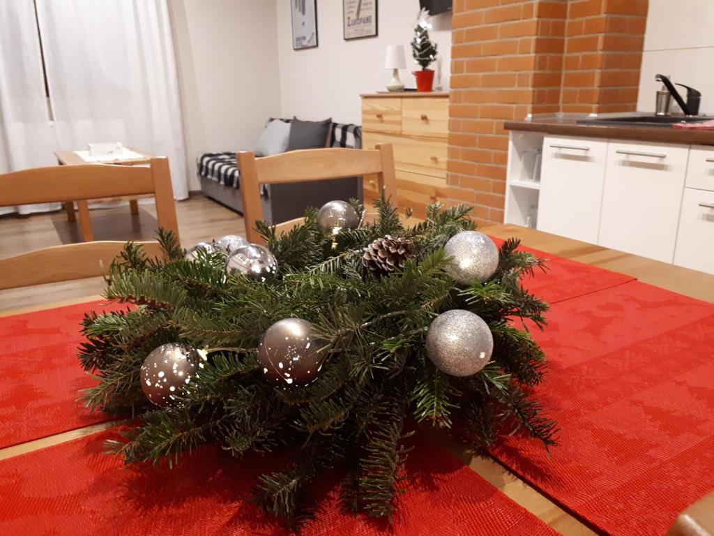 Kuchyňa alebo kuchynka v ubytovaní Apartamenty "Maryna House" Zakopane