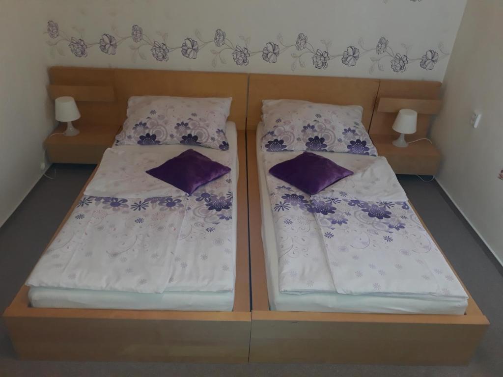 Apartmány Růže - 17