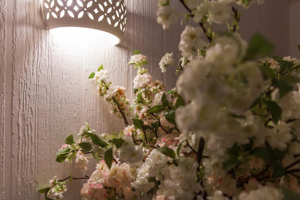 Fotografie z fotogalerie ubytování palazzinApulia v destinaci Fasano