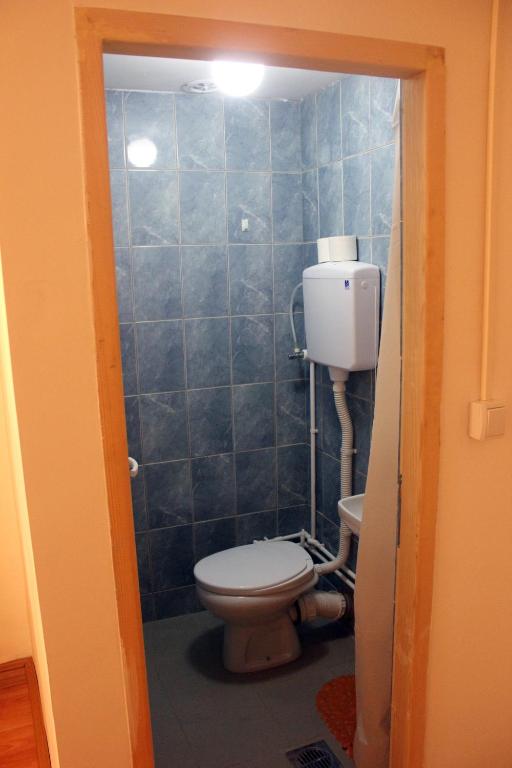 Koupelna v ubytování Stara Planina Vila Vesela kuca