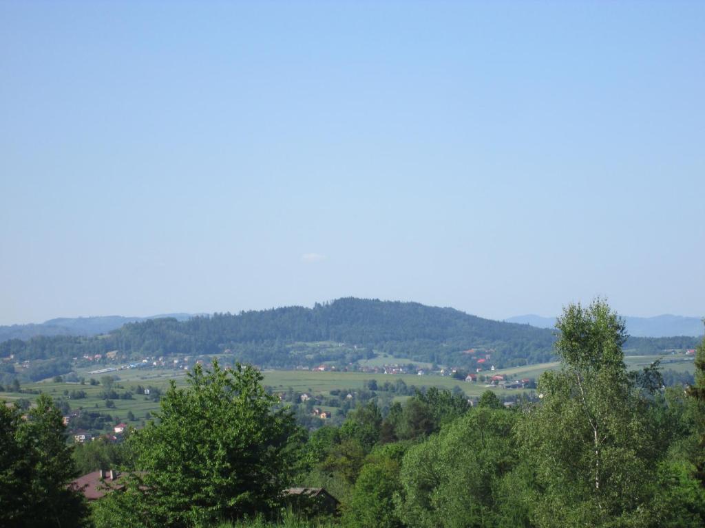 Príroda v okolí chaty v prírode