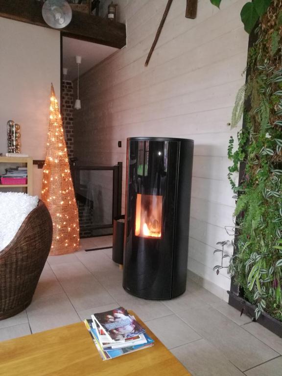 - une cheminée dans le salon orné d'un arbre de Noël dans l'établissement Fleur de Ciel, à Loos-en-Gohelle