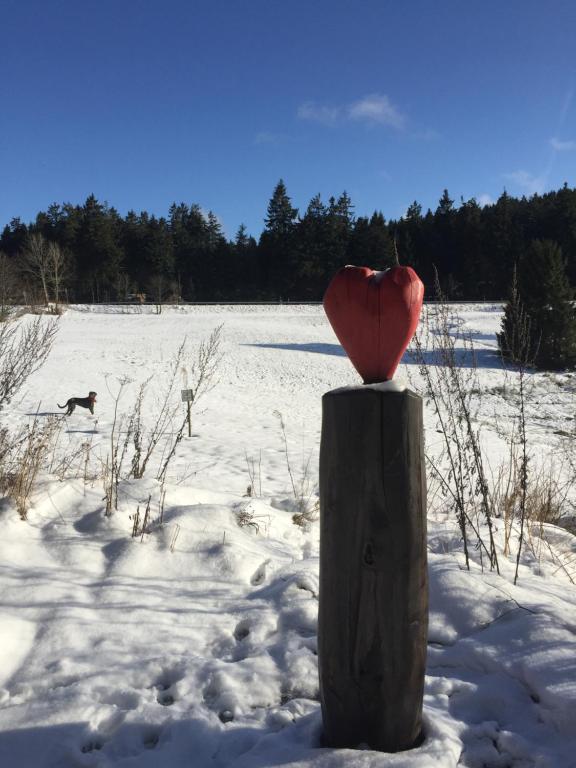 Hahnenklee Ferienpark 136 om vinteren