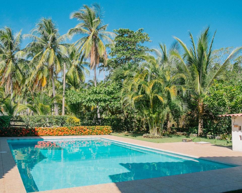 Bazén v ubytování Totobe Resort nebo v jeho okolí
